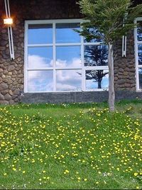 Ventanas Madrid Arian